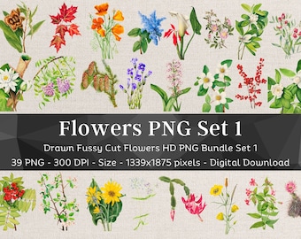 39 Flower PNG Bundle Set 1 | Fussy Cut Clipart | HQ Vintage Drawn Flower Images | Digital Stickers for Note Apps| Scrapbook Junk Journal Art