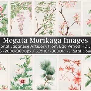Illustration de plante dessinée vintage par Megata Morikaga | Lot de 45 décorations murales japonaises traditionnelles | Peintures de fleurs vintage HQ | Téléchargement numérique