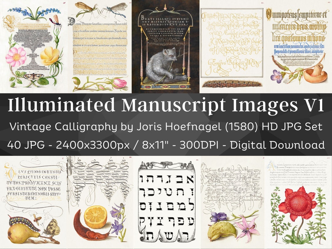 Illuminated Manuscripts Bundle | 40 Medieval Letters Junk Journal Pages ...