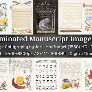 Illuminated Manuscripts Bundle | 40 Medieval Letters Junk Journal Pages | HQ Vintage Calligraphy Printable Illustration | Digital Download