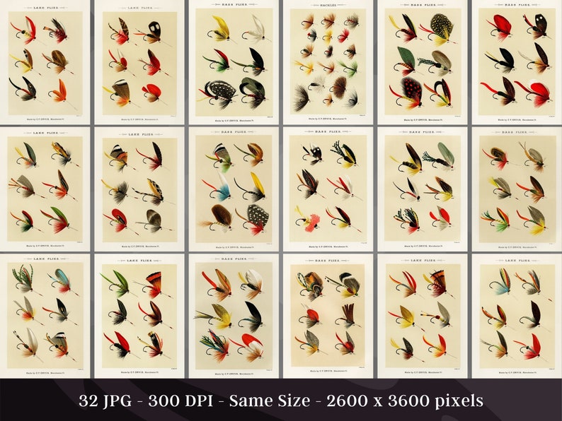 Vintage Fishing Fly Illustrations 32 JPG HQ Digital Image Bundle Mary