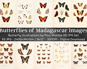 Könnte beinhalten: Ein Set mit 63 digitalen Bildern, die Illustrationen von Schmetterlingen aus Madagaskar von Paul Mabille zeigen. Die Bilder sind hochauflösend, messen 2400 x 3600 Pixel und eignen sich zum Drucken im Format 8x12 Zoll. Die Bilder sind im JPG-Format und haben eine Auflösung von 300 DPI.