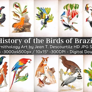 以下が含まれることがあります： ブラジルの鳥のデジタル画像47枚セット。ヴィンテージスタイルでイラストが描かれています。画像は高解像度で、印刷やデジタルでの使用に最適です。画像には「ブラジルの鳥の歴史」というタイトルと、アーティストの「ジャン・T・デクールティルズ」の名前が含まれています。