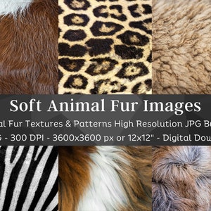 Animal Fur Textures Digital Paper | Safari Fur Pelt Pattern Print | 22 Digital Wallpaper Texture | Scrapbook, Background | Instant Download
