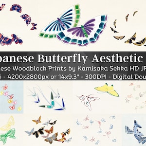 Kamisaka Sekka giapponese minimalista xilografia stampa modelli di farfalle 50 illustrazioni digitali HQ V3 / Giappone antico dipinto arredamento orientale