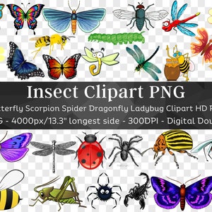 Insetto Clipart 60 PNG Bundle / Scarabeo Clipart Bug Silhouette Libellula Coccinella Falena Scorpione Cute Ape Farfalla Ragno Vespa / Download digitale