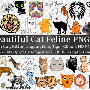 Gato Felino Animal 84 PNG Paquete V1 / Arte lineal Dibujos animados abstractos Clipart Silueta León Tigre Jaguar Gato Negro Lindo Gatito / Descarga Digital