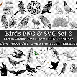 Vogel 105 PNG & SVG Bundle 2 | Clipart Silhouette SVG | Eule Taube Adler Emu Flamingo Pelikan Pinguin Storch| Dateien für Cricut| Digitaler Download