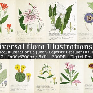 Universal Flora 104 Botanical Illustrations V4 | Botany Plant Images, Nature Wall Art Bundle | HQ Vintage Flower Paintings| Digital Download