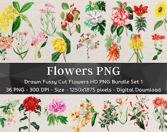36 Flower PNG Bundle Set 1 | HQ Vintage Drawn Flower Images | Fussy Cut Clipart | Scrapbook Junk Journal Art| Digital Stickers for Note Apps