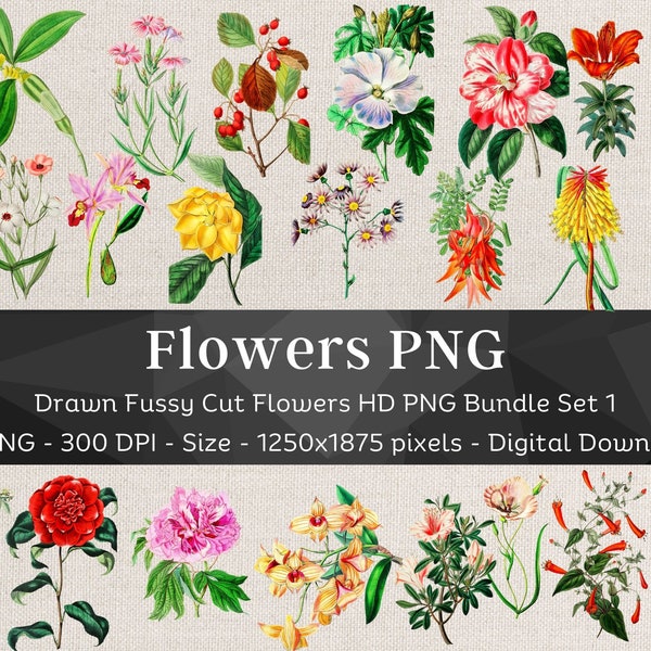 36 Flower PNG Bundle Set 1 | HQ Vintage Drawn Flower Images | Fussy Cut Clipart | Scrapbook Junk Journal Art| Digital Stickers for Note Apps