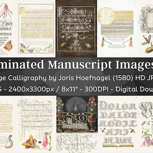 Illuminated Manuscripts Bundle 3 | 38 Medieval Letters Codex Paper Pages | HQ Vintage Calligraphy Printable Illustration | Digital Download