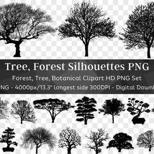 Silhouette d'arbre 62 Bundle PNG | Clipart Silhouette PNG | Acacia Aulne Hêtre Bouleau Bonsaï Arbre du Désert Chêne Palmier Pin | Téléchargement numérique