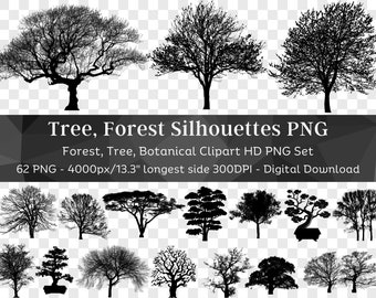 Tree Silhouette 62 PNG Bundle | Clipart Silhouette PNG | Acacia Alder Beech Birch Bonsai Desert Tree Oak Palm Tree Pine | Digital Download