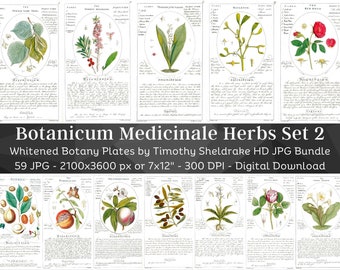 Whitened Botanicum Medicinale Herb Description & Uses Set 2| 59 HQ Vintage Illustrations| Vintage Flowers Botanical Plates| Nature Art Décor