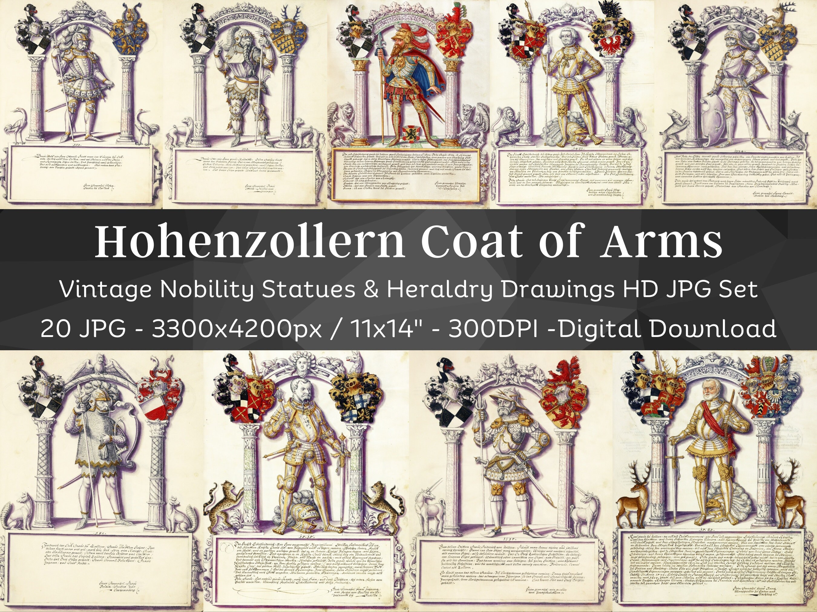 The Art of Heraldry　紋章のデザイン The Art of Heraldry: An Encyclopaedia of Armory: Arthur