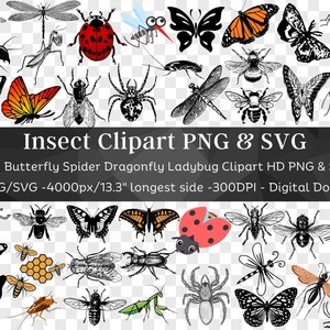 Insecte Clipart 100 PNG & SVG Ensemble| Bug Silhouette Fourmi Abeille Papillon Mouche Araignée Libellule Coccinelle Moth| Couper des fichiers pour Cricut| Téléchargement numérique