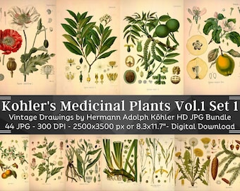 Kohler&#39;s Medicinal Plants Volume 1 Set 1 | 44 HQ Vintage Botanical Illustrations | Vintage Flowers Botanical Plates | Nature Art Home Décor