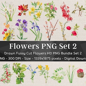43 Flower PNG Bundle Set 2 | HQ Vintage Drawn Flower Images | Fussy Cut Clipart | Digital Stickers for Note Apps| Scrapbook Junk Journal Art
