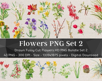 43 Flower PNG Bundle Set 2 | HQ Vintage Drawn Flower Images | Fussy Cut Clipart | Digital Stickers for Note Apps| Scrapbook Junk Journal Art