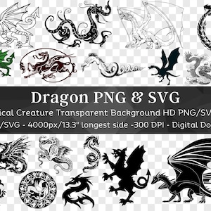 Ensemble Dragon 30 PNG et SVG | Clipart Dragon | Dragon SVG | Silhouette de dragon | Clipart de conte de fées | Utilisation commerciale pour Cricut | Téléchargement numérique
