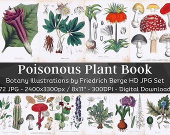 Poisonous Plant Book 72 Botanical Illustrations| Medicinal Botany Rare Dangerous Plant Flower Painting Naturalist Wall Art| Digital Download