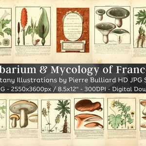 France Herbarium & Mycology 100 Botanical Illustrations V1| Botany Fungi Medicinal Plant Mushroom Flower Painting Wall Art| Digital Download