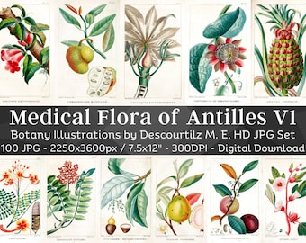 Medical Flora of Antilles 100 Botanical Illustrations V1 | Botany Images Medicinal Plant Wall Art| Vintage Flower Painting| Digital Download