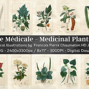 Flore Medicale 120 Botanical Illustrations V3| Homeopathy Plant Images, Botany Wall Art Bundle| HQ Vintage Flower Painting| Digital Download