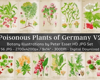Poisonous Plants of Germany 56 Botanical Illustrations V2 | Medicinal Botany Rare Dangerous Plant Flower Painting Wall Art| Digital Download