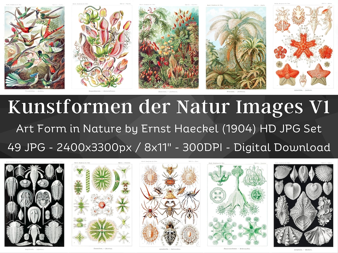 Art Form in Nature, Kunstformen Der Natur Ernst Haeckel V1 | 49 HQ