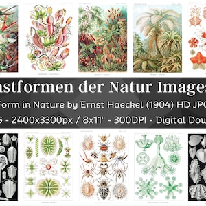 Art Form in Nature, Kunstformen der Natur Ernst Haeckel V1 | 49 HQ Printable Lithographic Images| Art Nouveau Wall Art Set| Digital Download