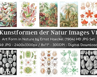 Könnte beinhalten: Ein Set mit 49 Vintage-Illustrationen der Natur, mit detaillierten Zeichnungen von Pflanzen, Tieren und Meeresbewohnern. Die Illustrationen sind im Stil wissenschaftlicher Illustrationen aus dem frühen 20. Jahrhundert gehalten. Der Titel "Kunstformen der Natur Images V1" ist oben im Bild zu sehen.