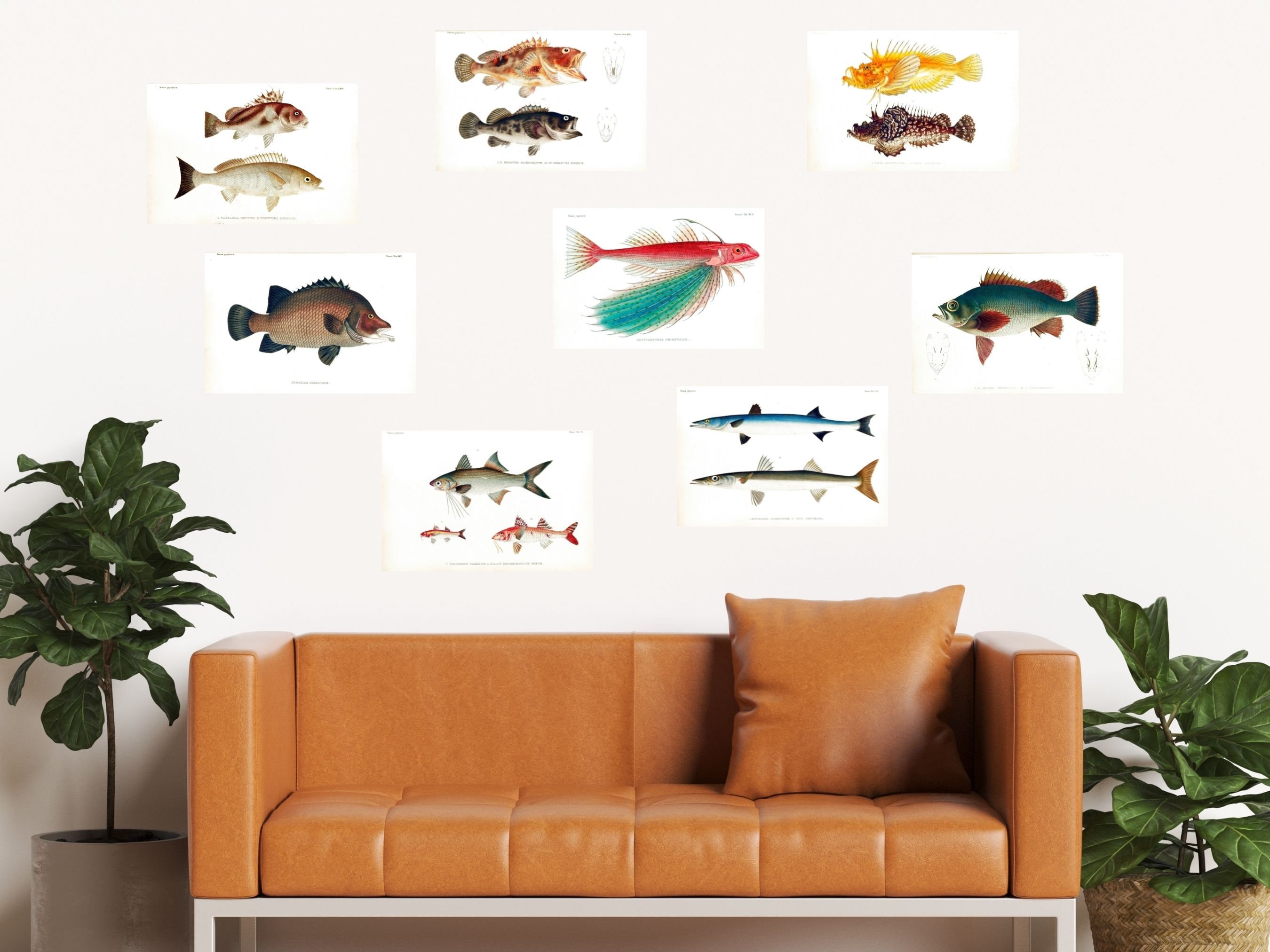 Restored Japanese Fauna V2 Pisces | 81 HQ Printable Fish
