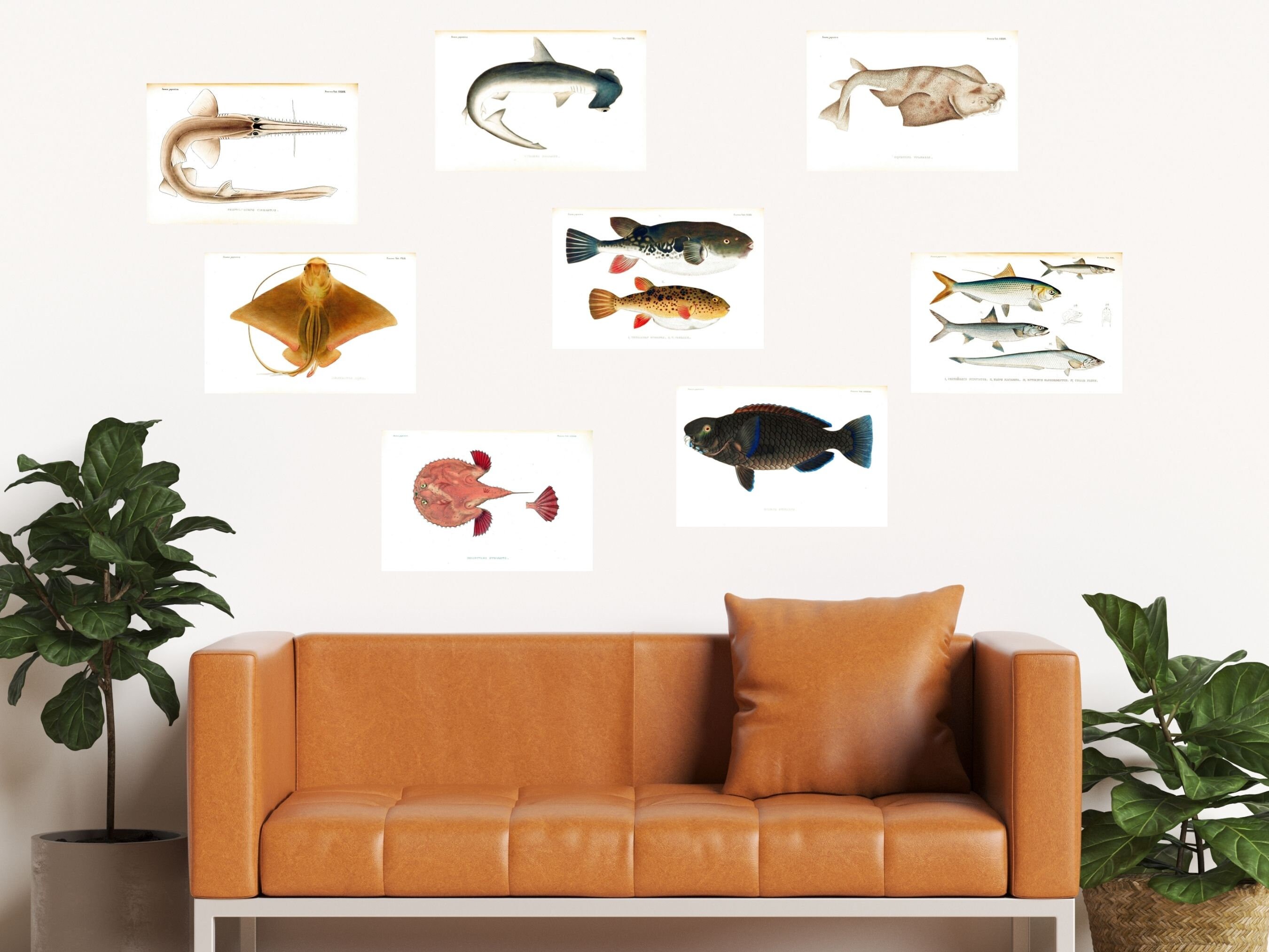 Restored Japanese Fauna V2 Pisces | 80 HQ Printable Fish