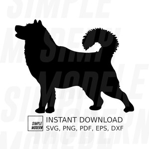 Può includere: Silhouette nera di un cane husky in piedi con la coda arrotolata. L'immagine ha il testo "SIMPLE MODERN INSTANT DOWNLOAD SVG, PNG, PDF, EPS, DXF" sotto il cane.