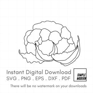 Chou-fleur dessiné à la main SVG, dessin au trait végétal minimaliste, vecteur d'illustration de contour de décoration de cuisine, téléchargement numérique pour la coupe et l'impression