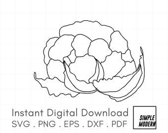 Cauliflower Line Art SVG, Kitchen Decor Illustration (Digital Download), Simple Clean Vegetalbes Outline Printables, Cutables for Cricut