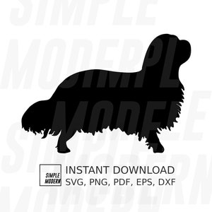 Può includere: Silhouette nera di un cane Cavalier King Charles Spaniel. L'immagine include il testo "SIMPLE MODERN INSTANT DOWNLOAD SVG, PNG, PDF, EPS, DXF".
