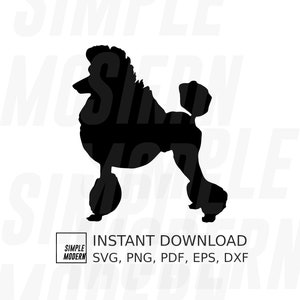 Può includere: Silhouette nera di un barboncino. L'immagine include il testo "SIMPLE MODERN INSTANT DOWNLOAD SVG, PNG, PDF, EPS, DXF".