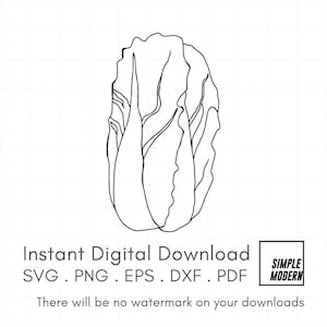 Wombok SVG dessiné à la main, dessin au trait minimaliste, clipart chou asiatique, légumes dessin téléchargement numérique instantané pour la découpe et l'impression