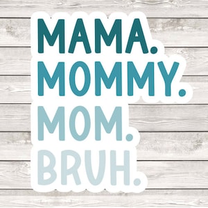 Pu&ograve; includere: Un adesivo con le parole "Mama. Mommy. Mom.  Bruh." in un design blu e bianco sfumato.