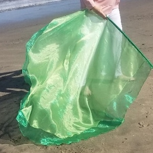 May include: A green sheer fabric dance flag with a satin trim. The flag is being held by a person on a beach.