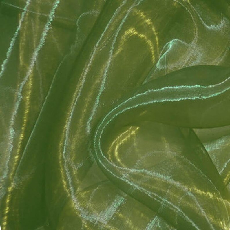 Green Printed Organza Drape