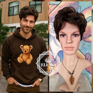Perfect Everyday Tousled Hairstyle Short Mens Wig in Natural Brown with Bangs, Mens Wigs, Masculine Wig in Brown Color, Fashion Lord Wig