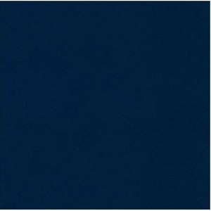 May include: A solid dark blue background.