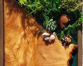 Arte mural de madera de olivo y musgo hecho a mano: Decoración botánica de resina epoxi