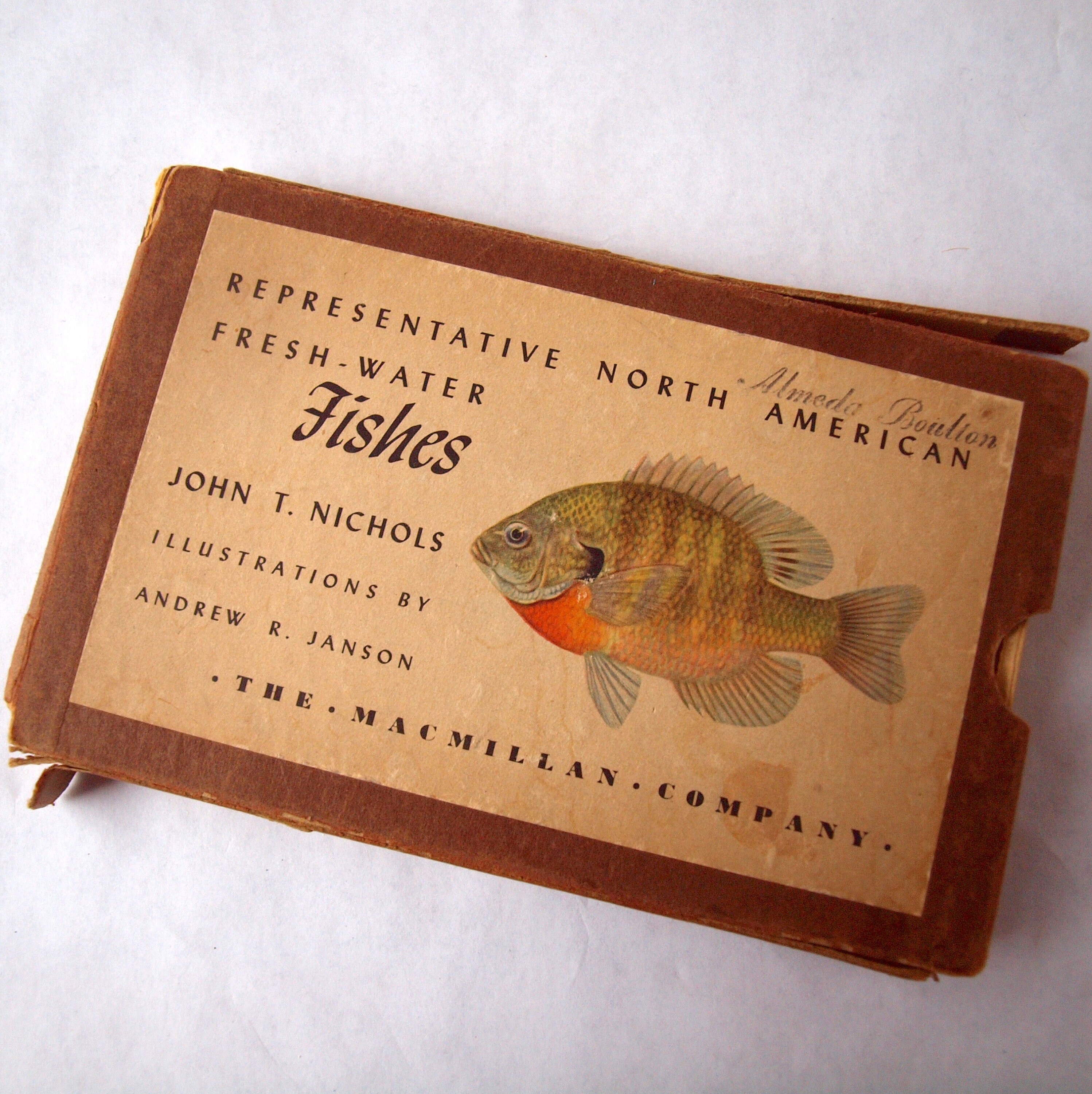 ヴィンテージ魚類図鑑：北米の代表的な淡水魚、1942年 - Etsy 日本
