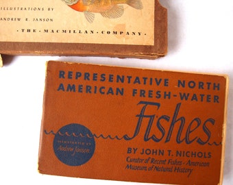 ヴィンテージ魚類図鑑：北米の代表的な淡水魚、1942年