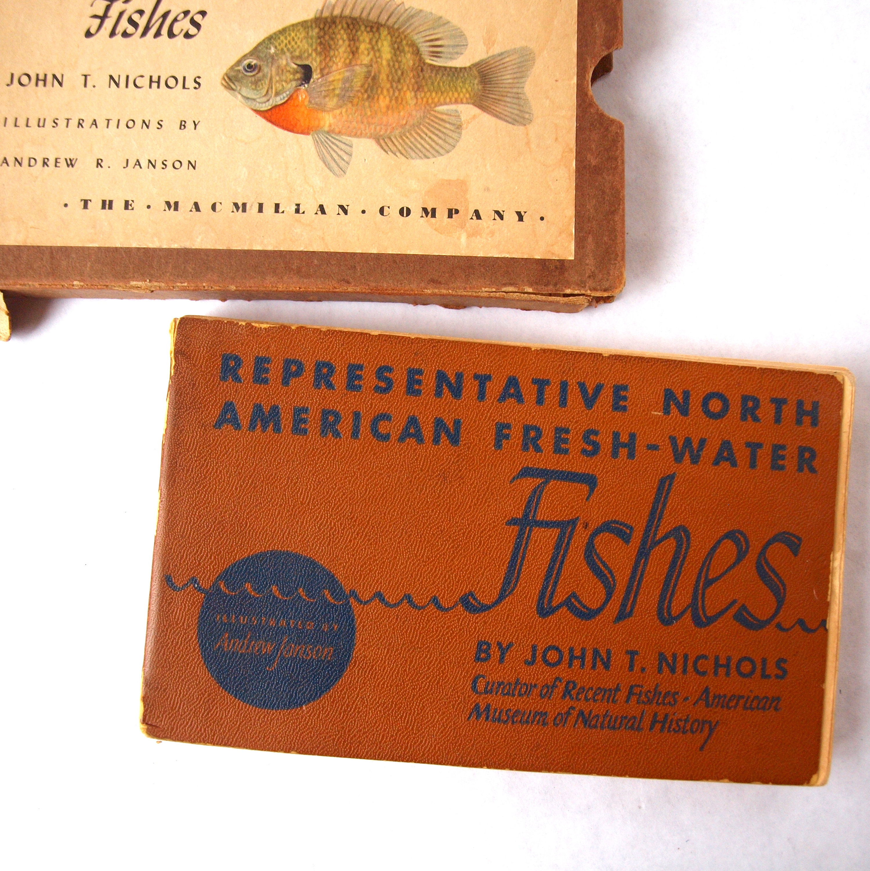 魚の本　北アメリカ淡水魚 ヴィンテージ魚類図鑑：北米の代表的な淡水魚、1942年 - Etsy 日本